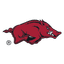 Arkansas Razorbacks