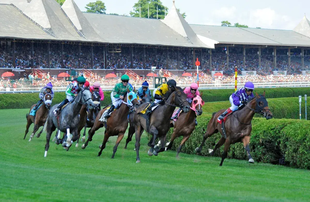Saratoga Picks- Turf