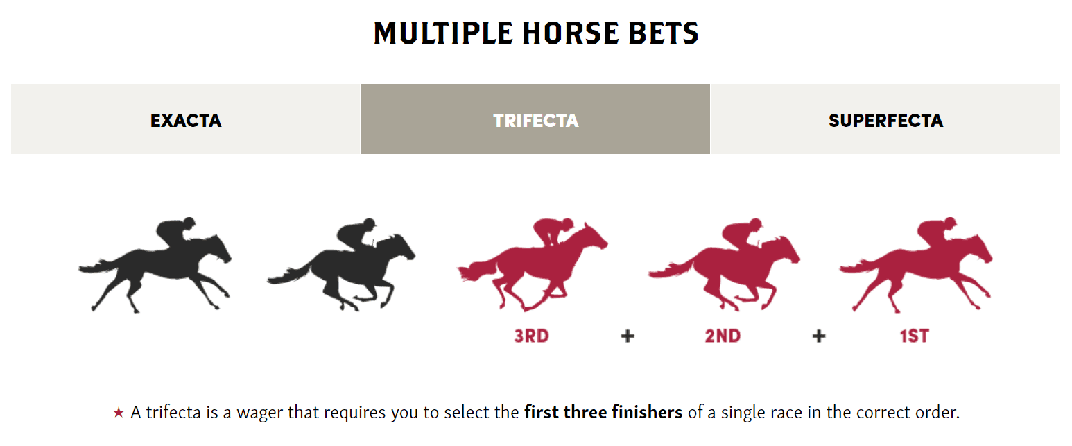 A vertical exotic bet requires a player to pick multiple finishing positions in a given race.