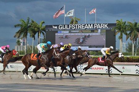 Gulfstream will run a mostly tapeta card the Wednesday before the Christmas.