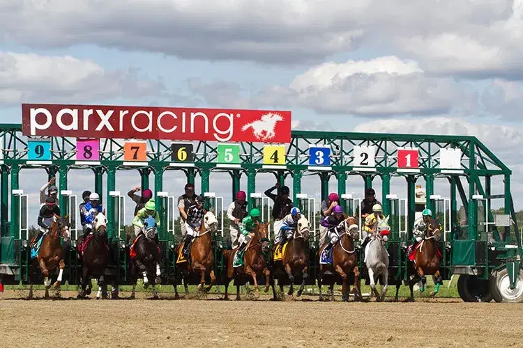 Parx Racing Picks