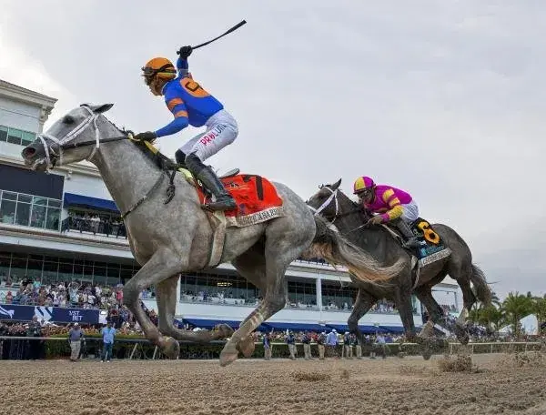 Jockeys riding horses