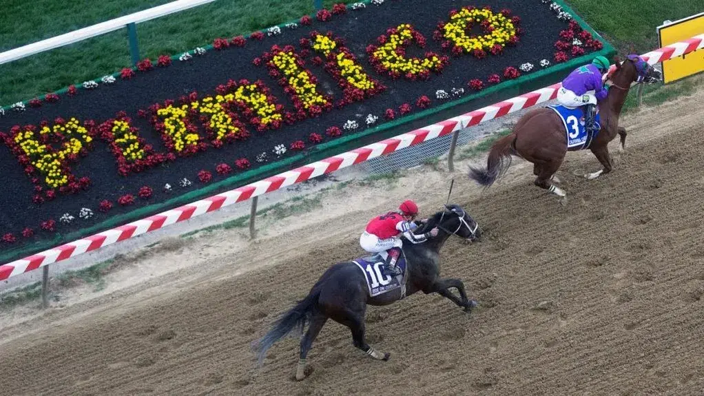 Pimlico is home to the Black Eyed Susan and Preakness Stakes