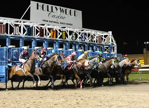 Penn National Picks: Penn Mile Stakes (5/29/2026)