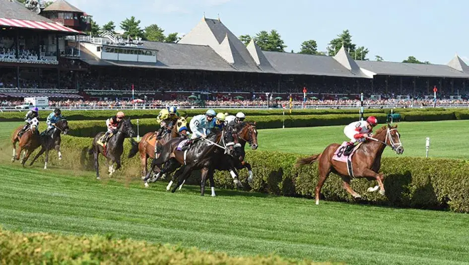 Saratoga Thursday: P.G. Johnson Analysis Selections (9/1) cover - Saratoga Picks