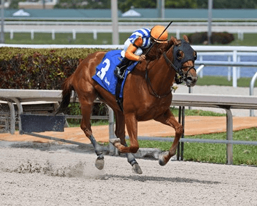 Aqueduct Winter Meet: NYRA Thursday Analysis, Selections cover