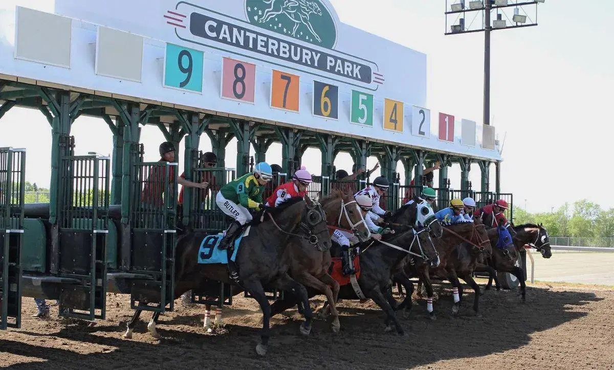 Canterbury Park picks: Saturday Minnesota Oaks, Derby Analysis cover