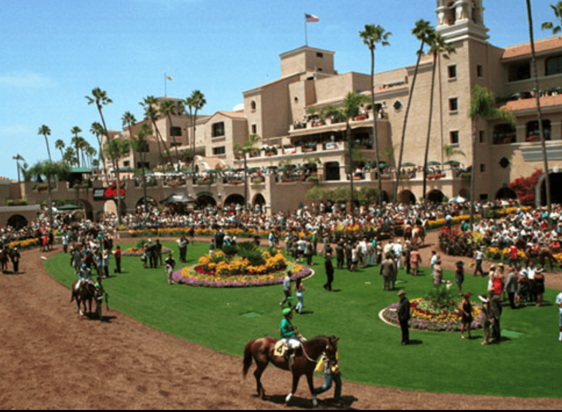 Horses in the Paddock at Del Mar