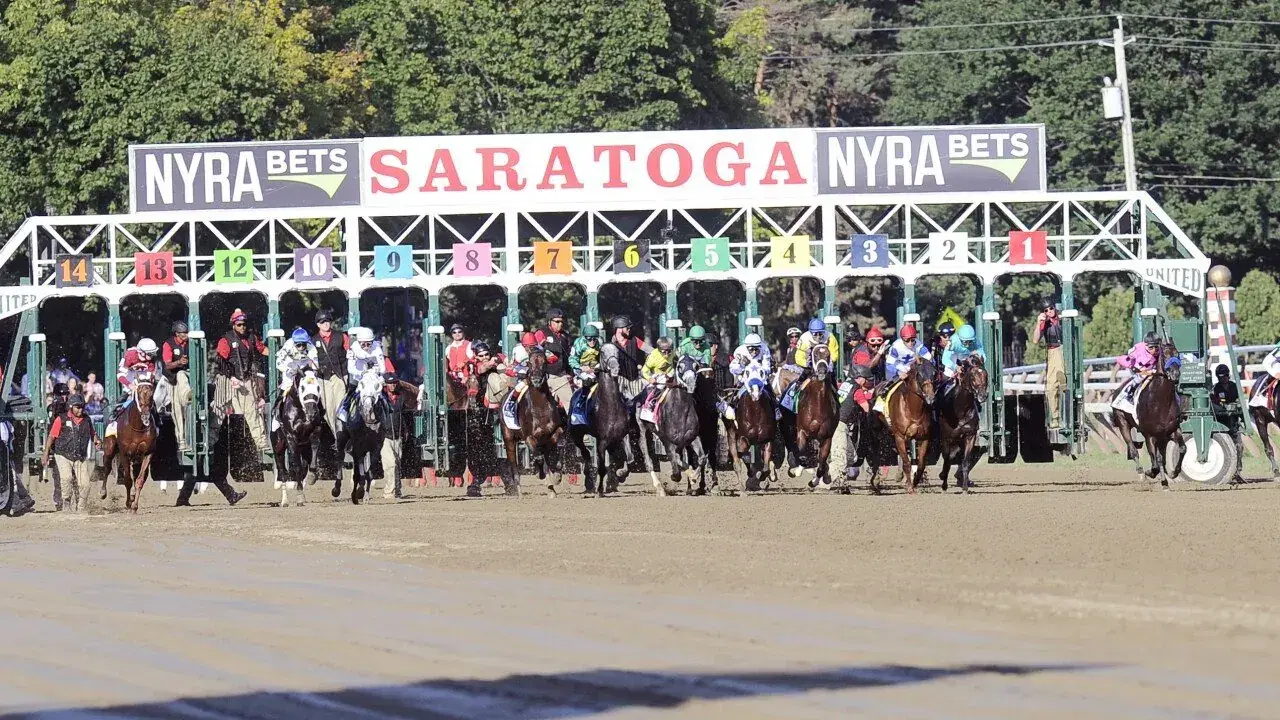 Saratoga Picks