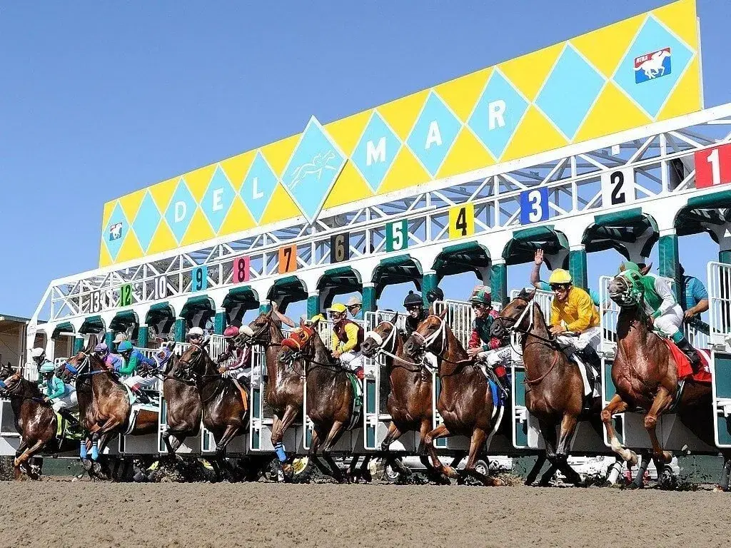Horses on dirt at Del Mar