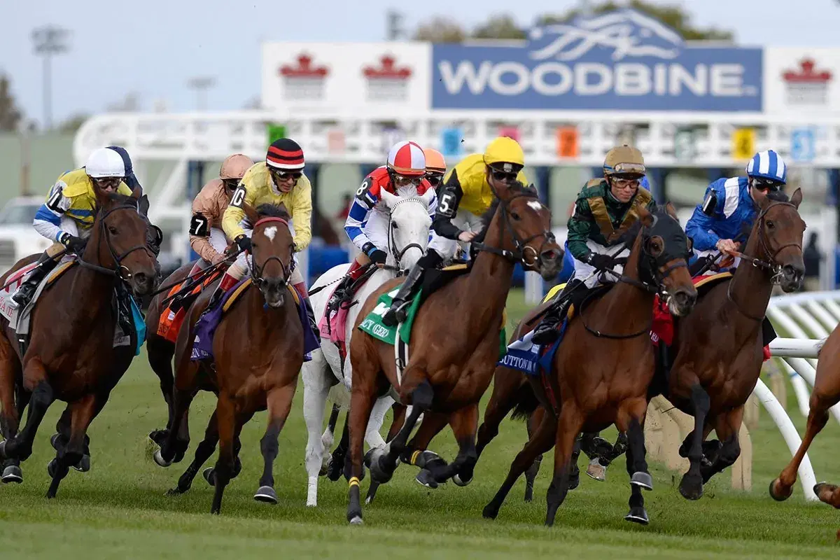 Horse hit the turn at Woodbine