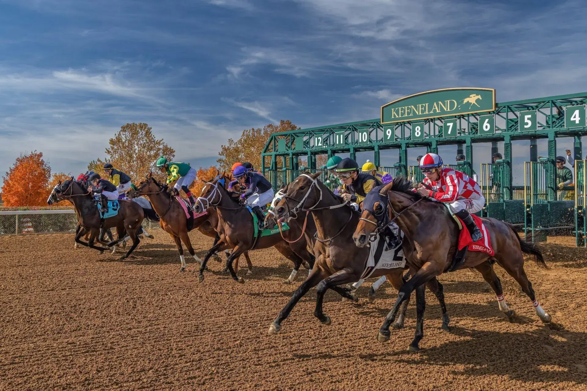 Horses break from the Keeneland gate