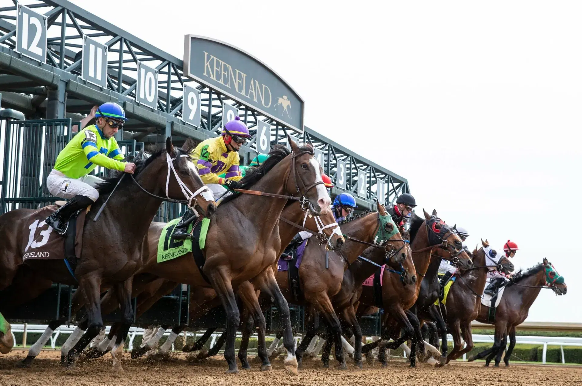 horses break from the gate at Keeneland