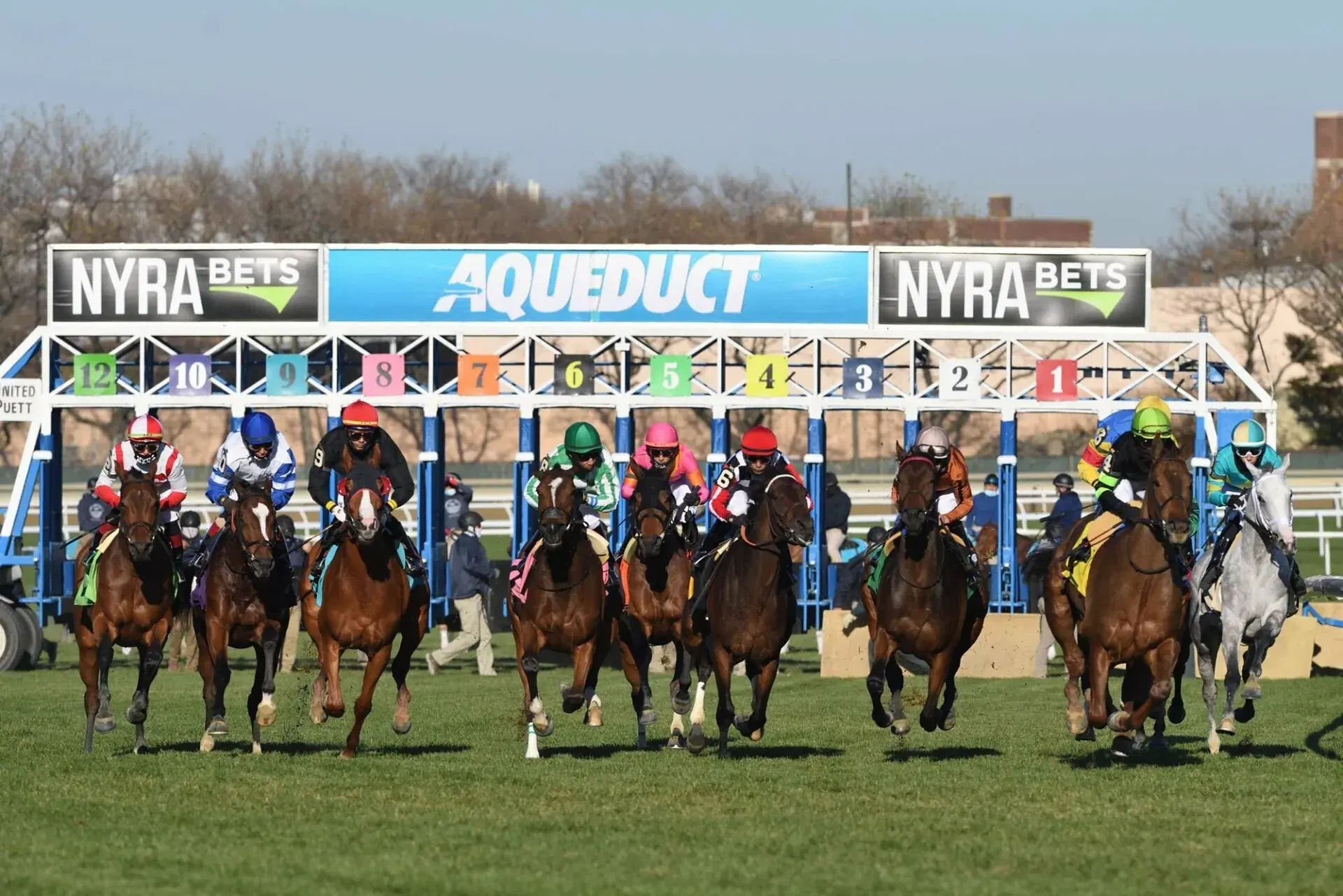 Horses leave gate on Aqueduct turf