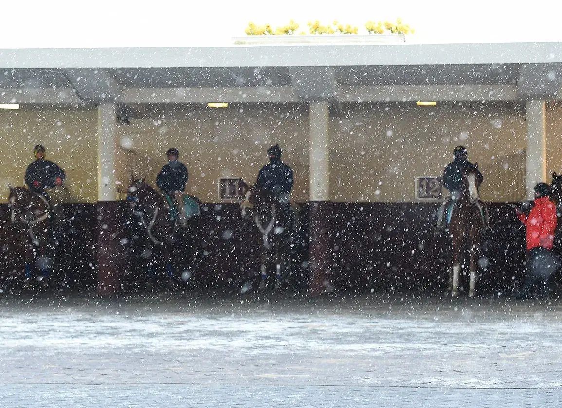 Aqueduct Saturday: Comely Stakes Analysis, November 25, 2023 cover