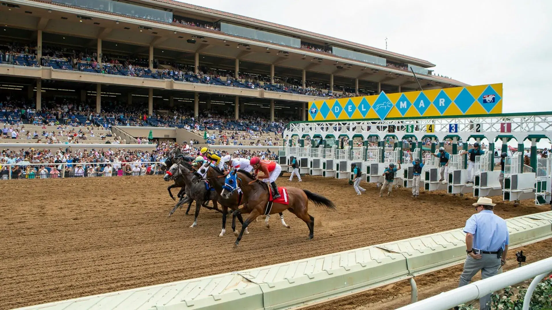 Del Mar Picks: Hollywood Derby, Saturday, December 2, 2023 cover