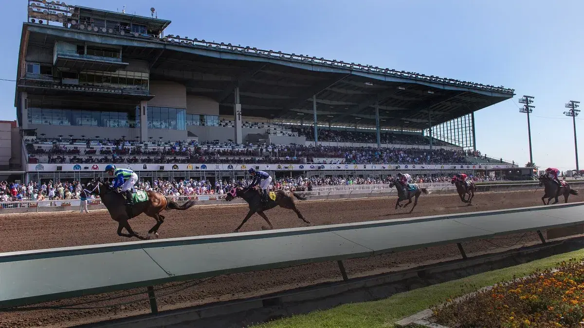 Los Alamitos Picks: Boutique Meet Runs Graded Stakes- Starlet Analysis cover