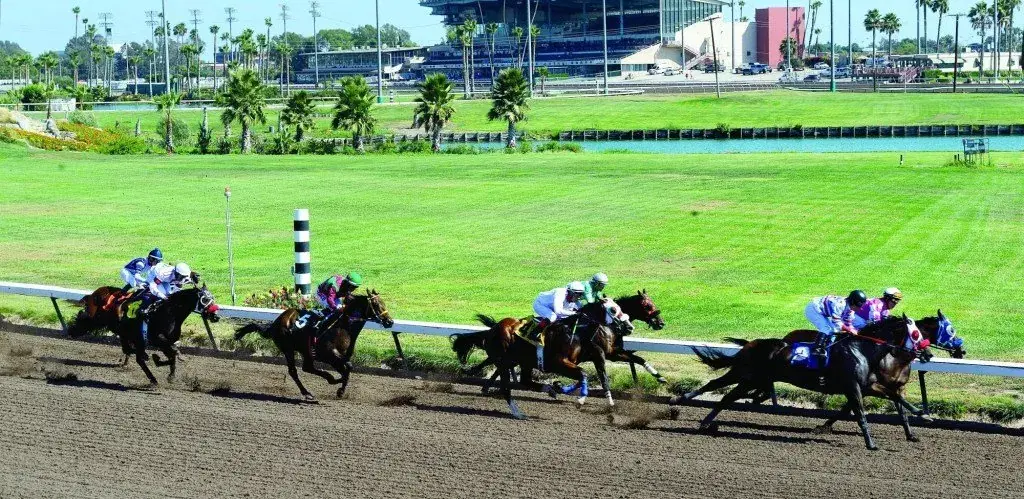 Horses round the turn at Los Alamitos