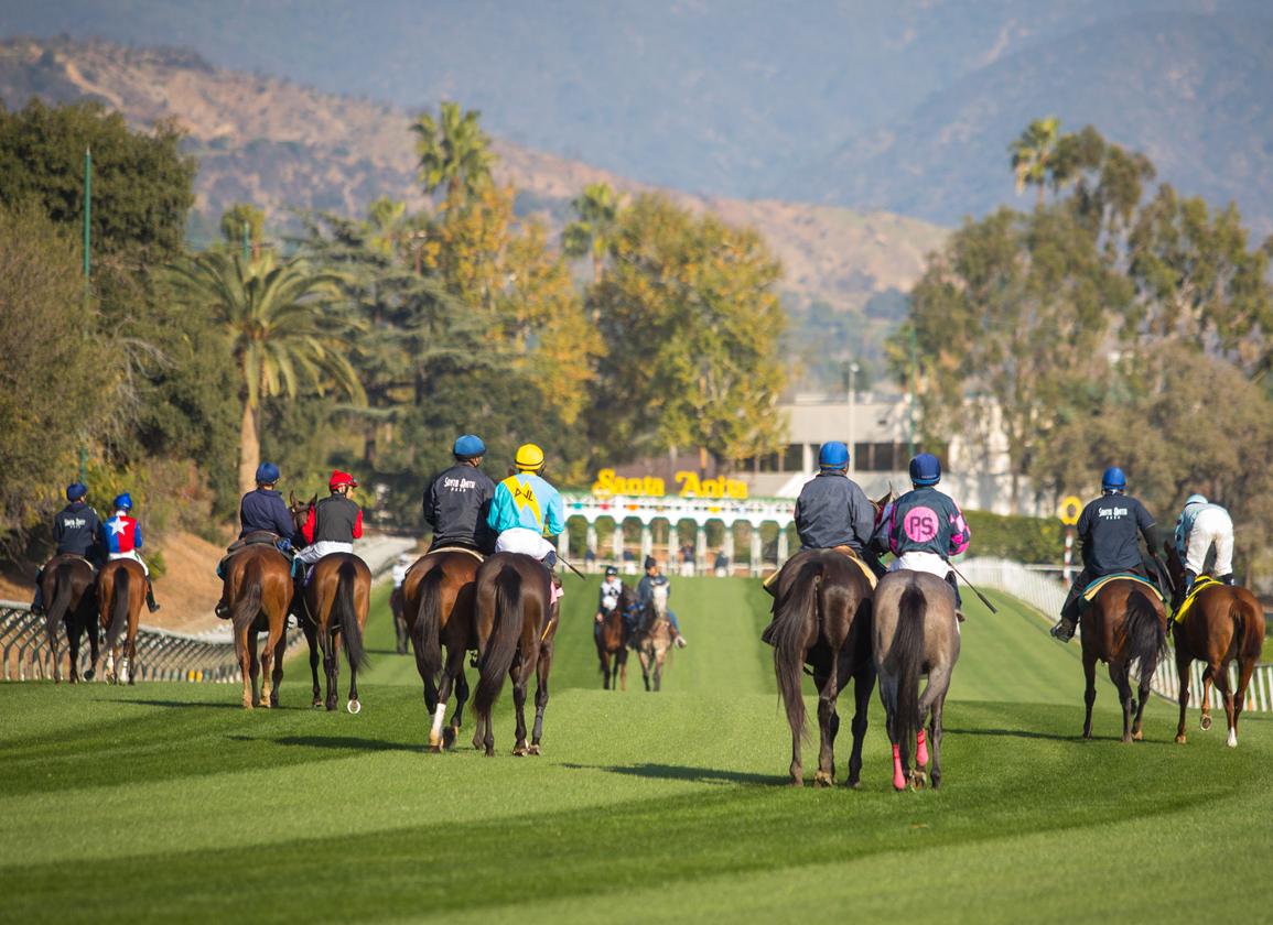 Santa Anita Picks Turf