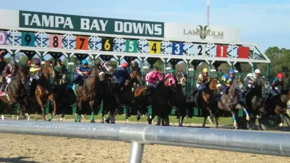 Tampa Bay Downs Gate