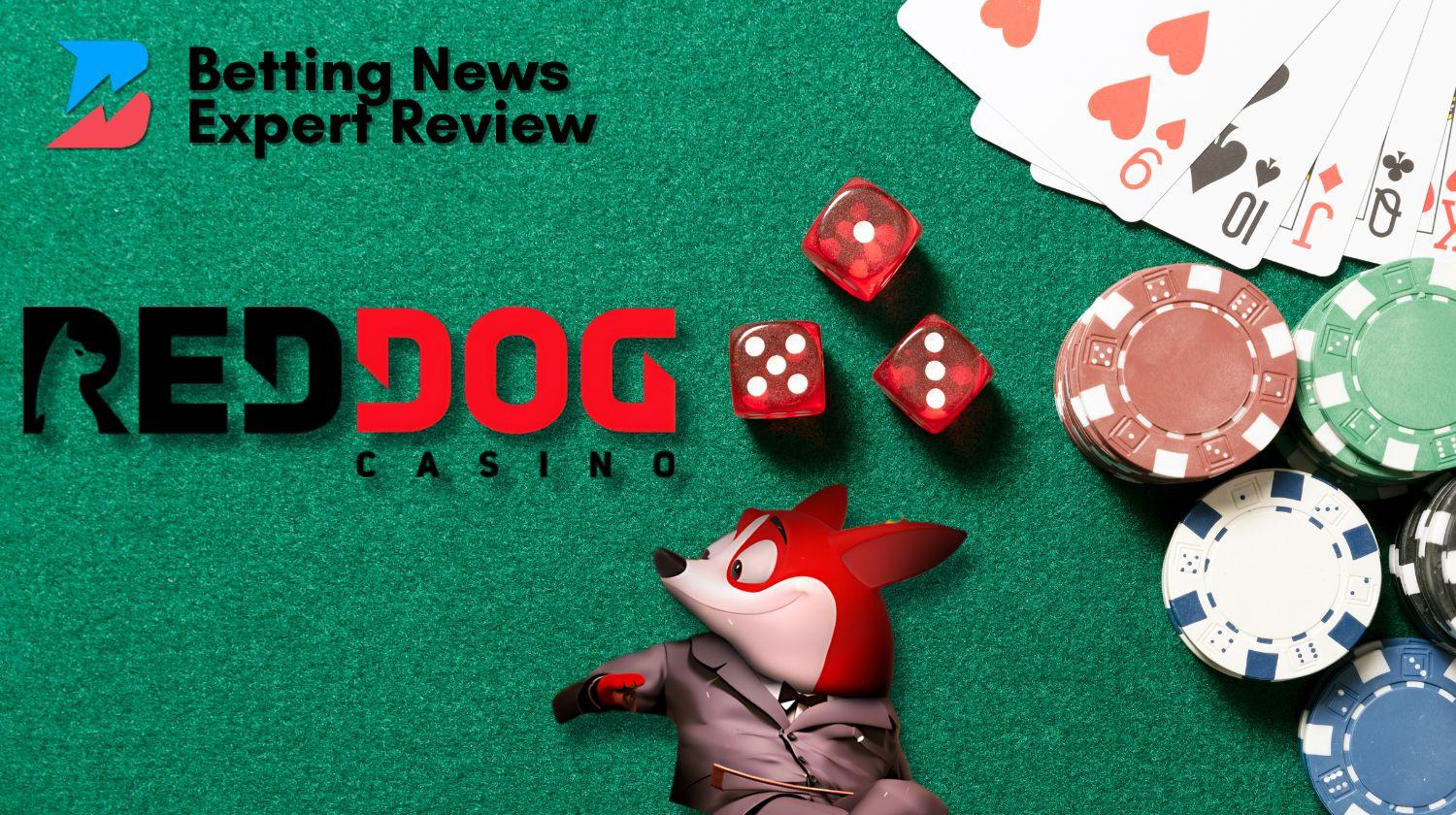 Red Dog Casino Expert Review & Bonuses: Should You Play Here in 2026?