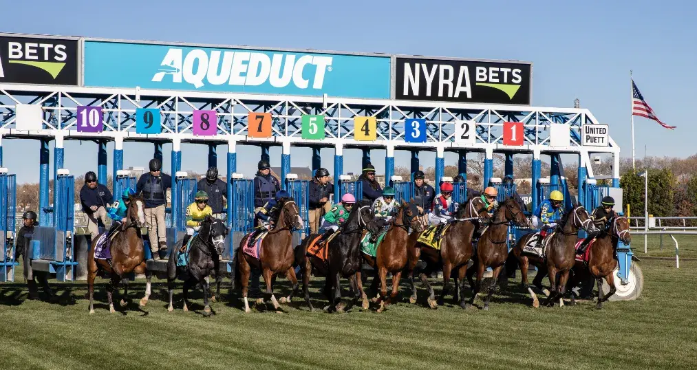 Aqueduct Turf