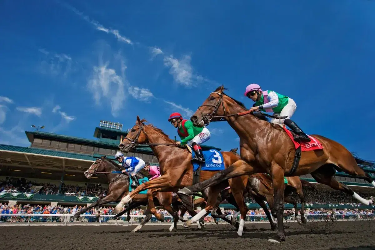 Horses leave gate at Keeneland