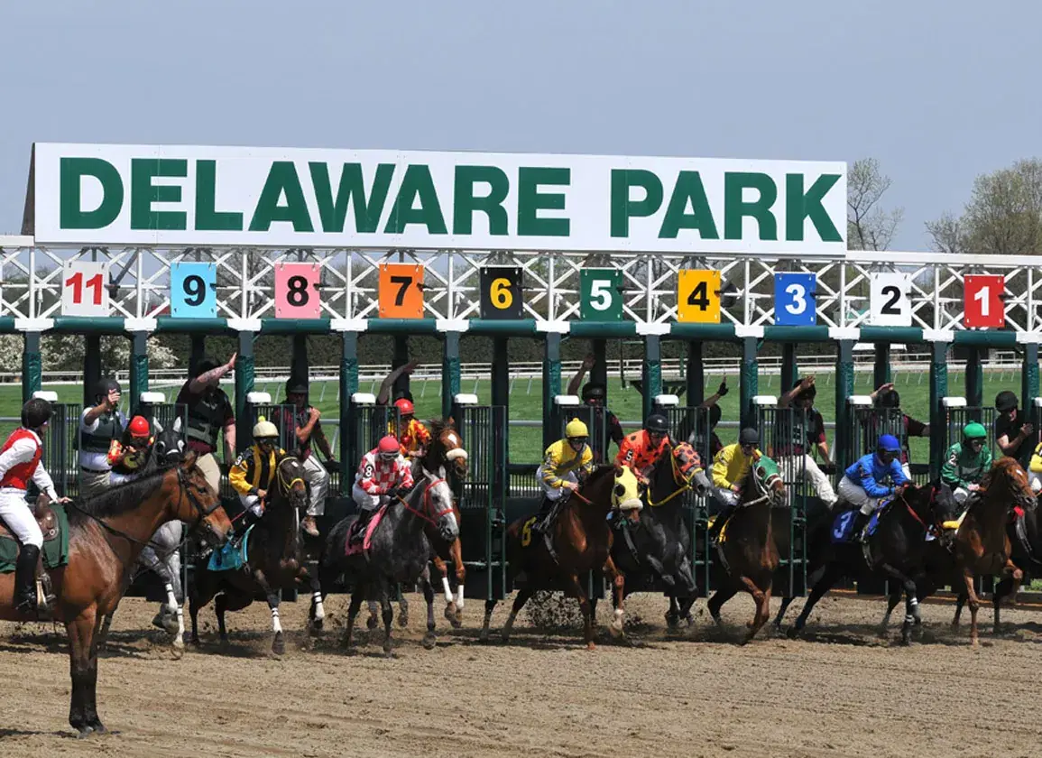 Horses in the starting gate for a race - Delaware Park picks