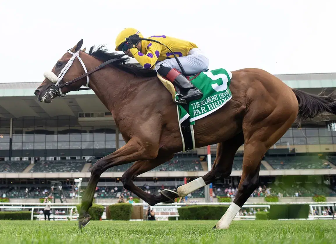 Horse funning a race in front of a crowd