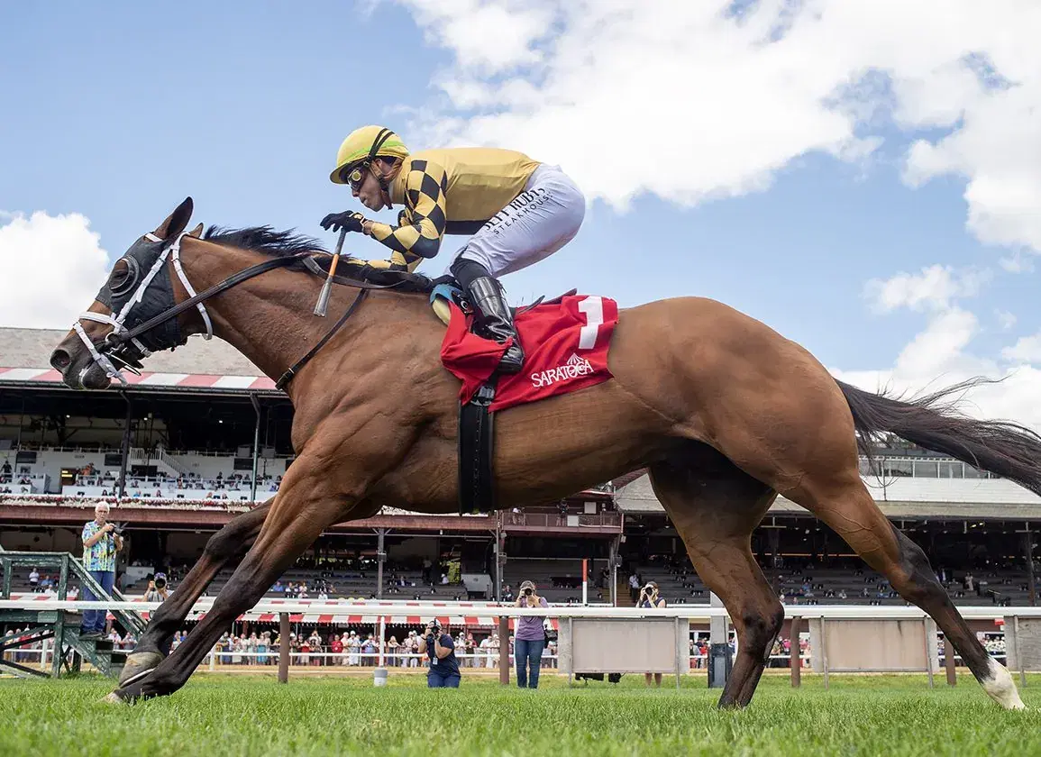 Horse running on grass under the blue sky