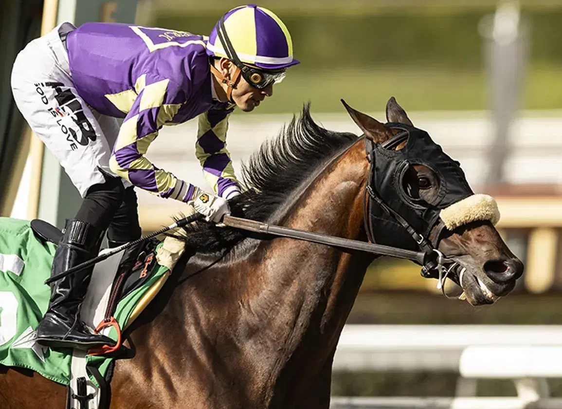 Horse racing with jockey