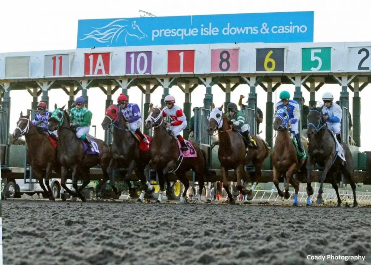 Horses leaving the starting gate at a race track