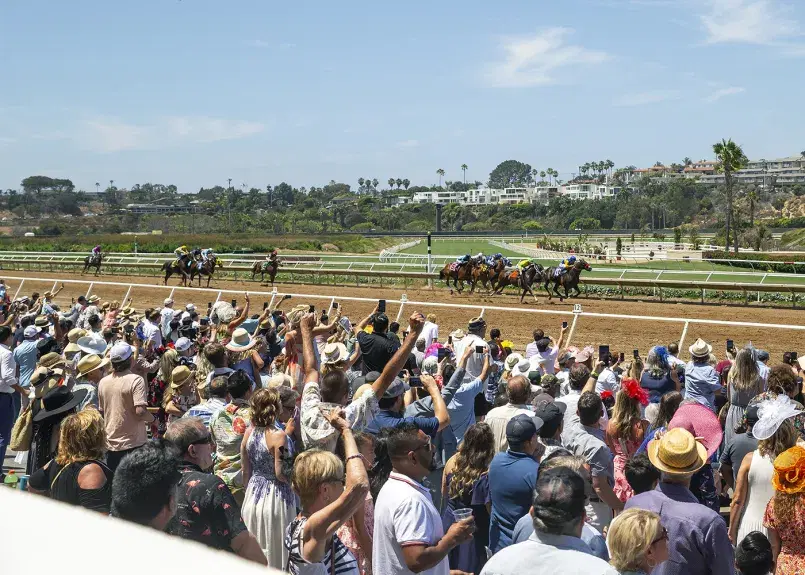 Fans Cheer on a horse race