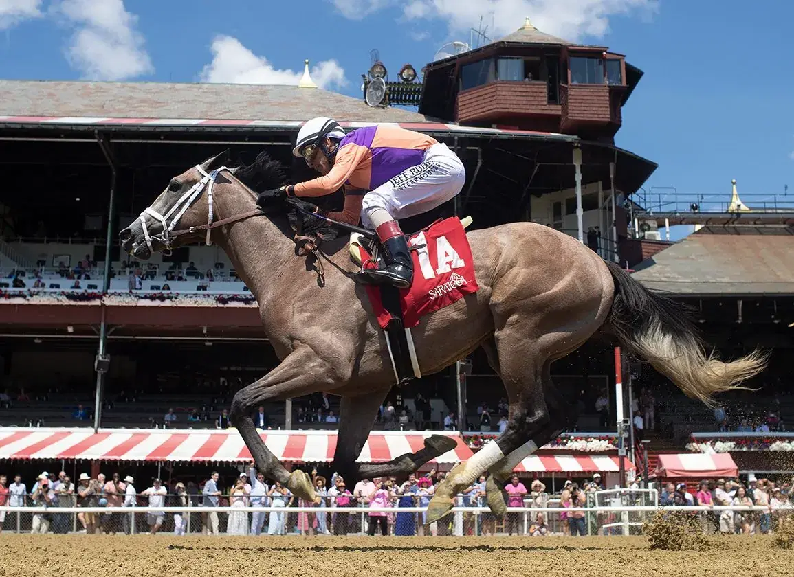 Horse running with jockey