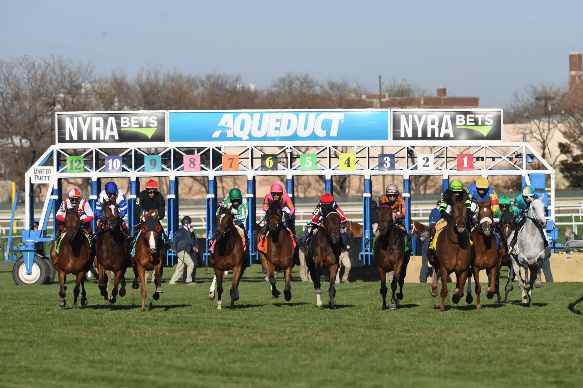 Horses break from the gate on turf